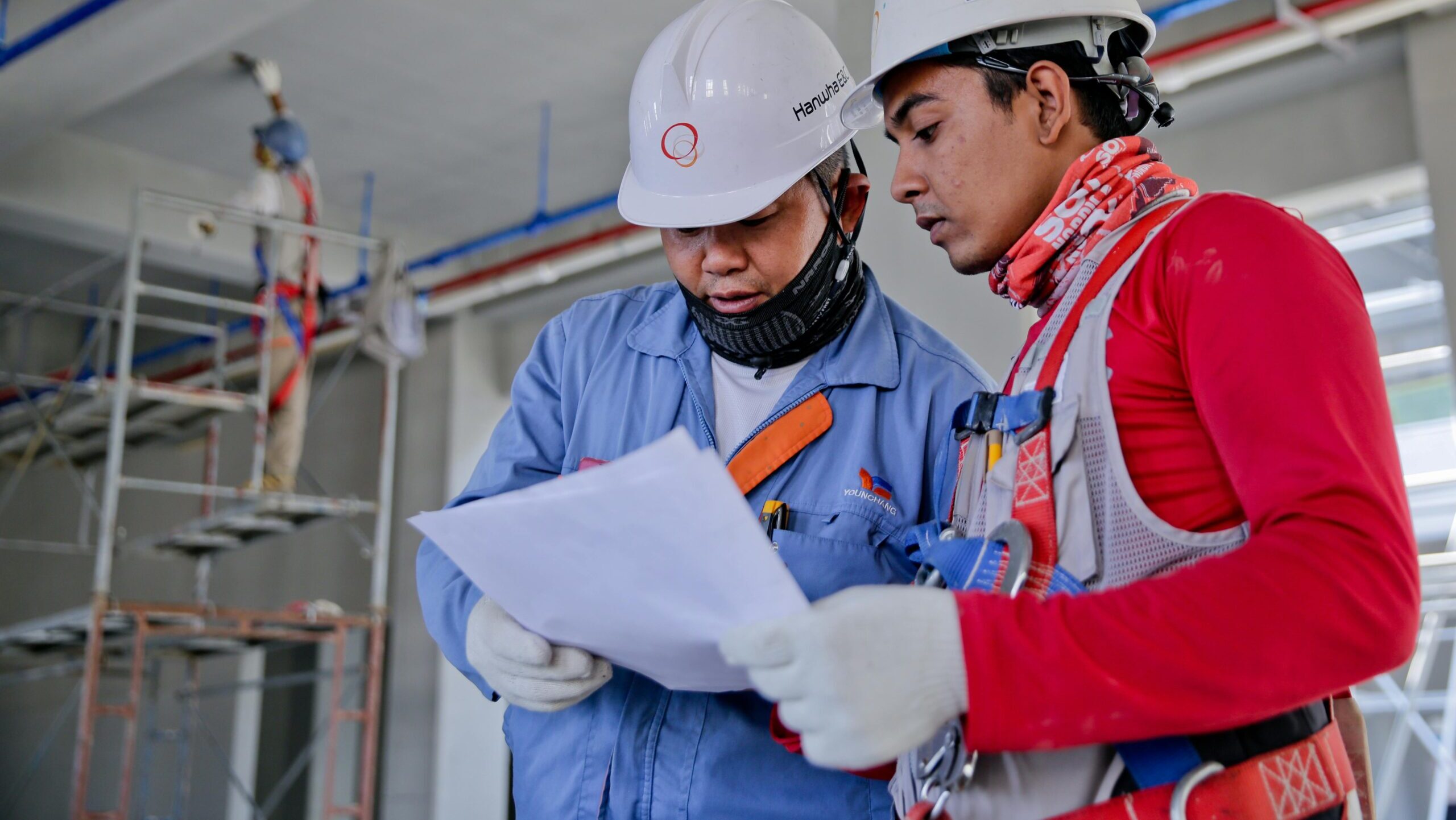 Government Contractors's thumbnail